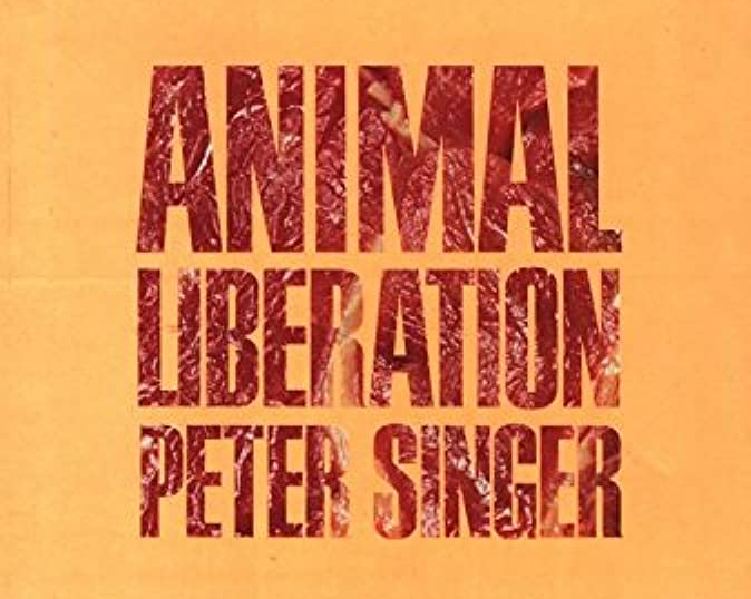 وقتی فلسفه با زیست روزمره مرتبط&nbsp;است